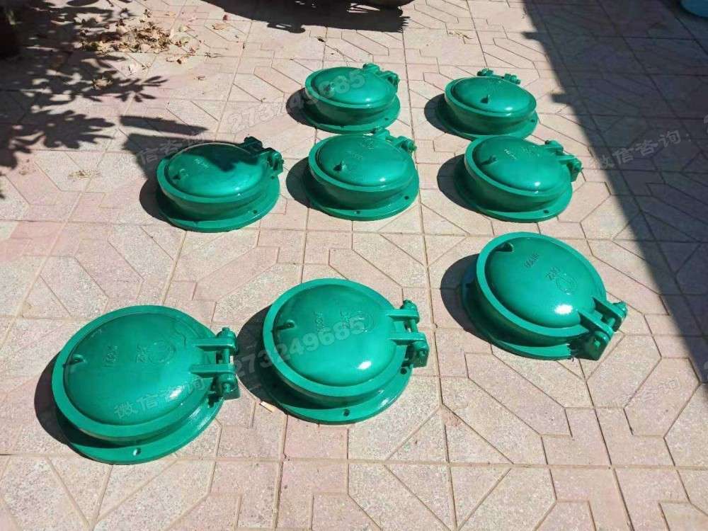 武汉多规格小型玻璃钢拍门