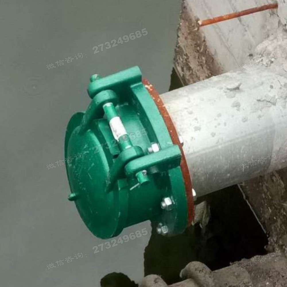 鄂州管道安装玻璃钢拍门