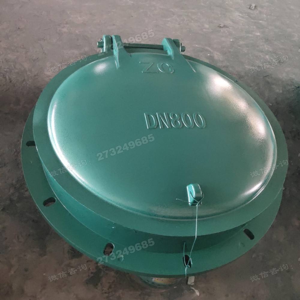 定海DN800绿色玻璃钢拍门