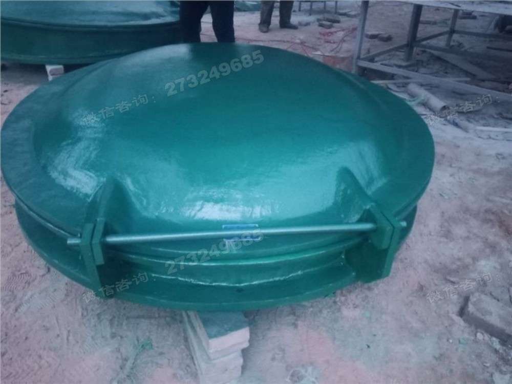 鄂州加固型玻璃钢拍门
