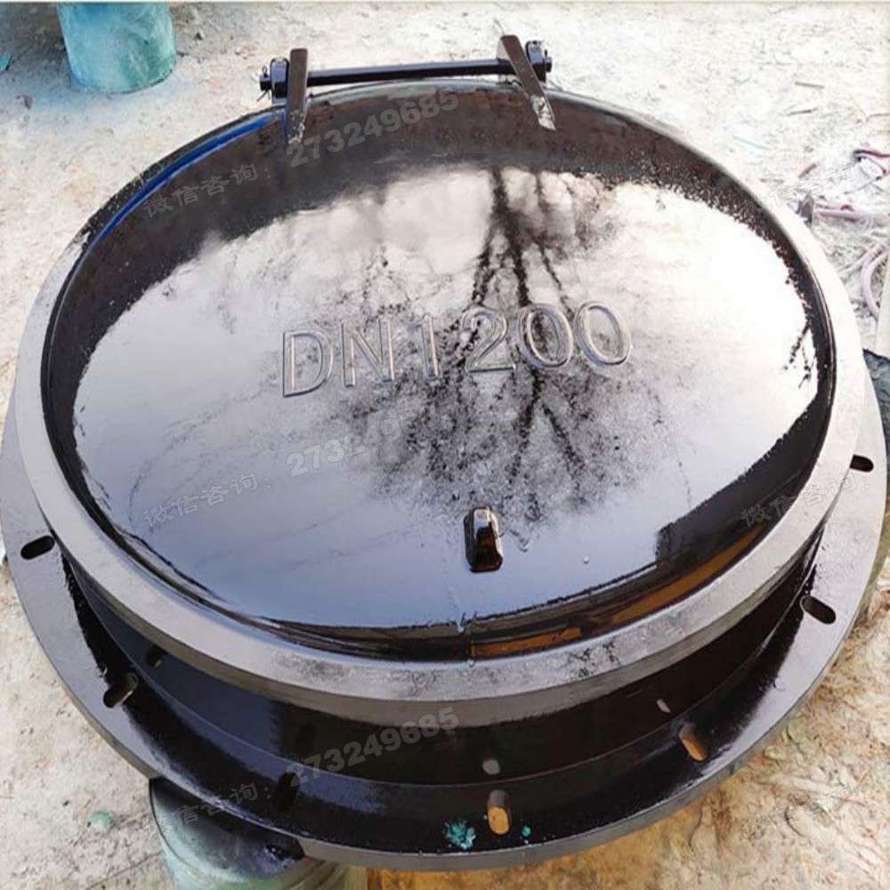 武汉黑色DN1200玻璃钢拍门