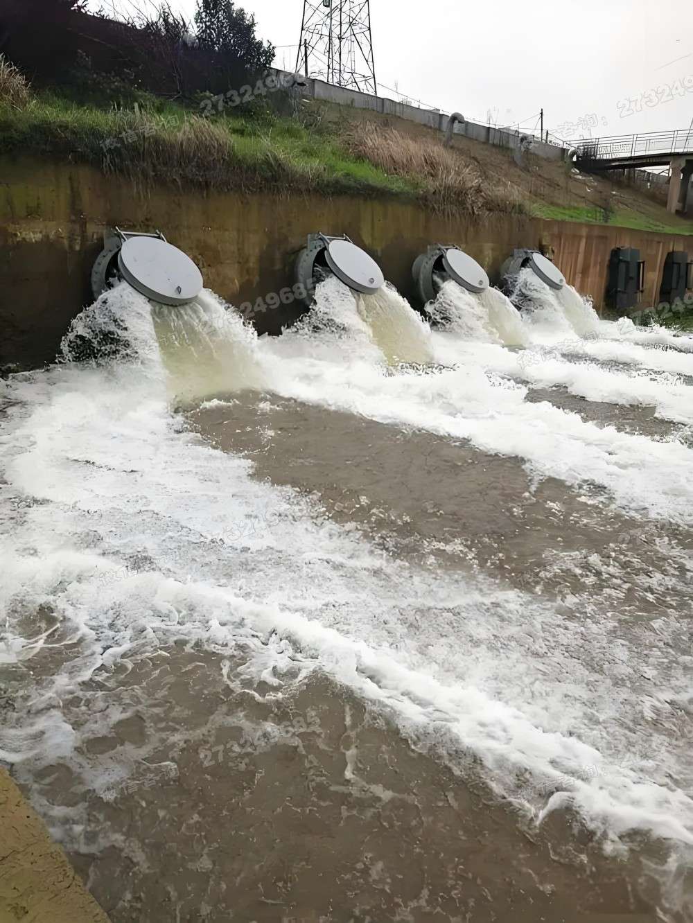 范县河岸排水钢制拍门