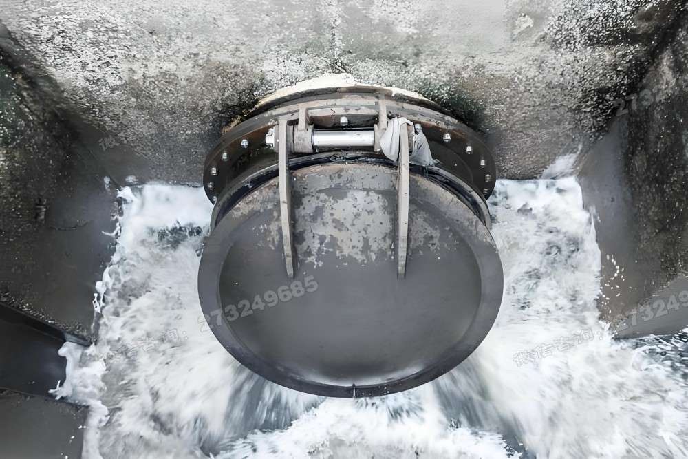 泸水县给排水拍门