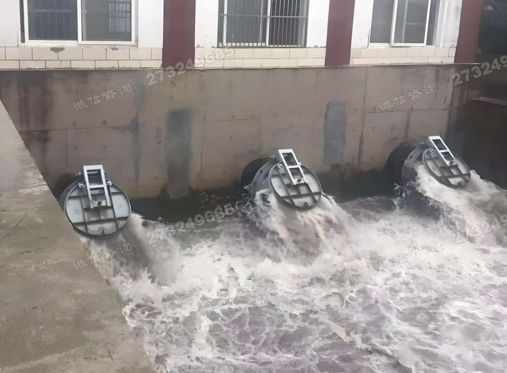 缙云县三联排水拍门