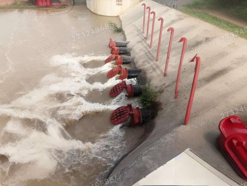 武汉污水厂拍门