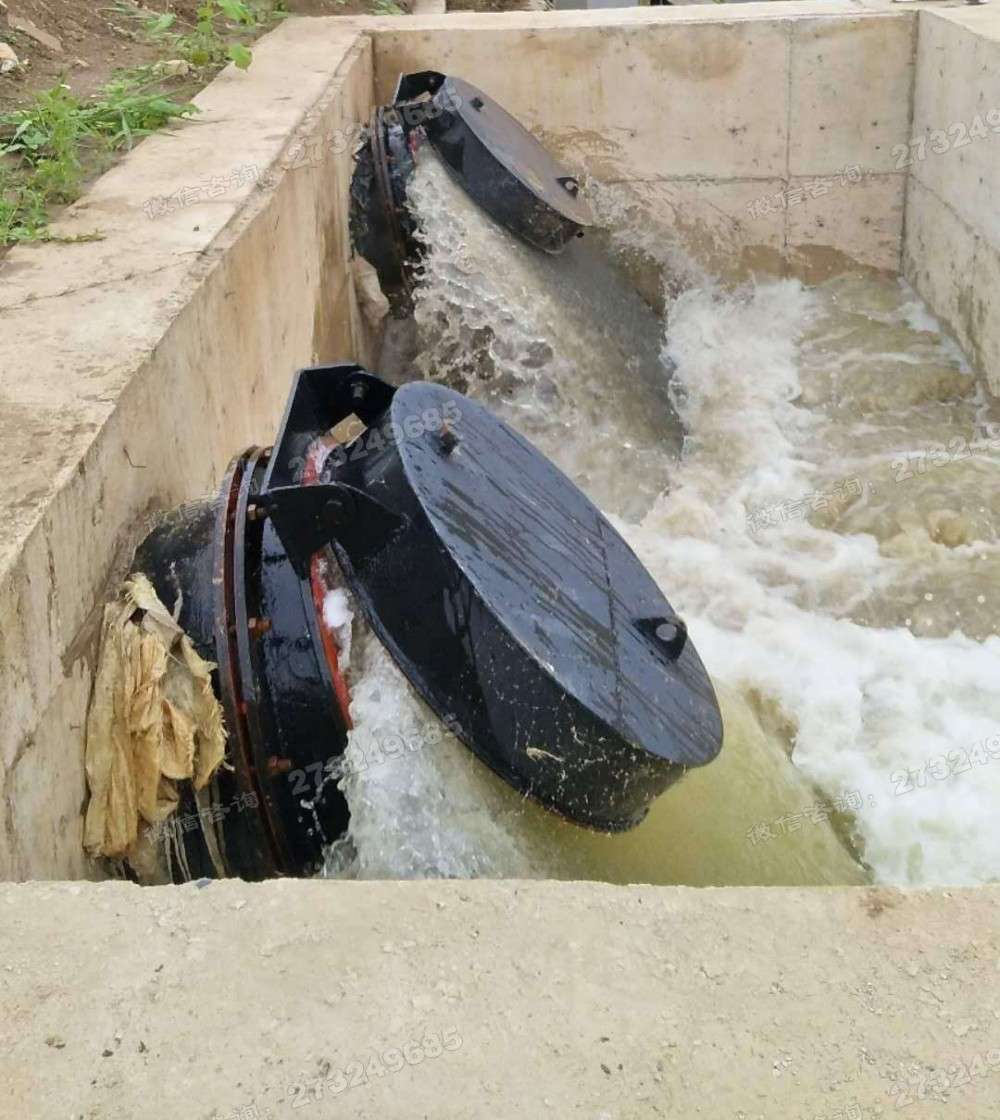 秦皇岛河道排水拍门
