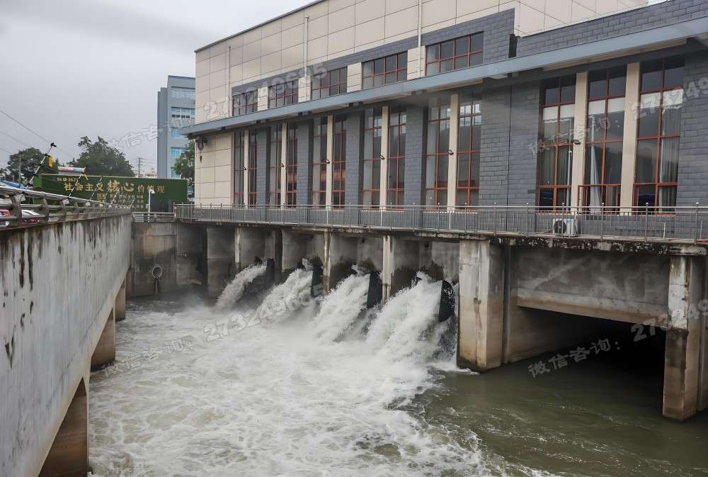 秦皇岛防回流止回拍门