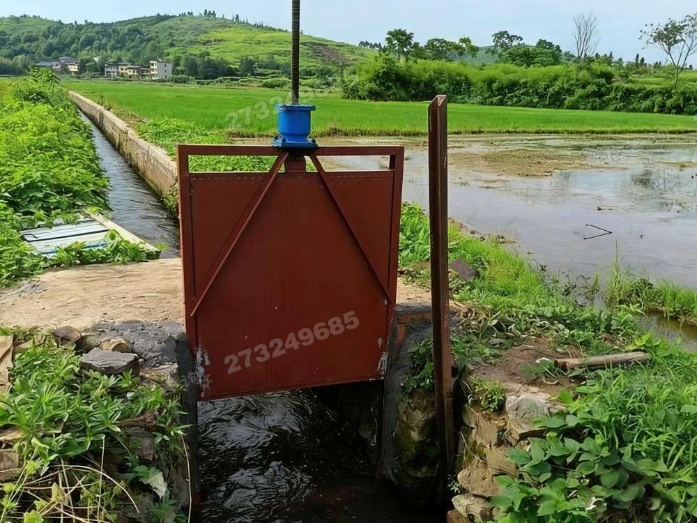 鄂州水稻田铸铁闸门