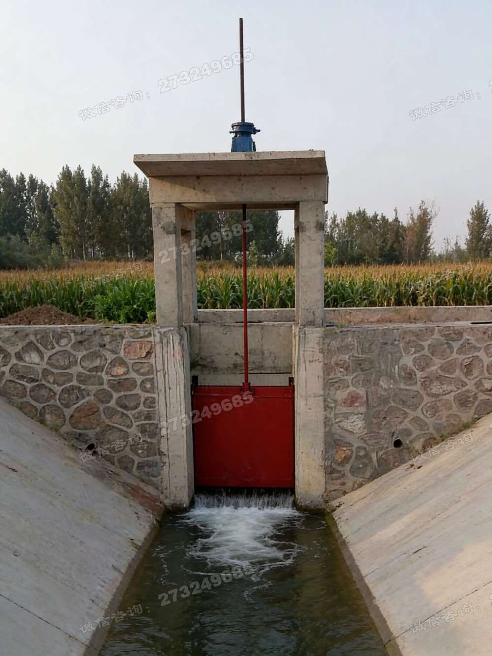 市中玉米地铸铁闸门