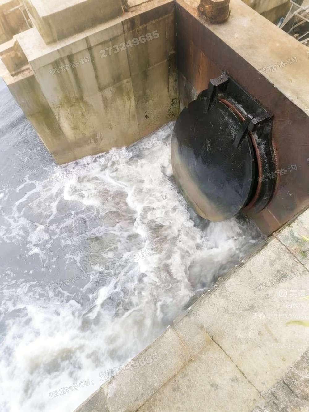 剑阁县黑色铸铁排水拍门