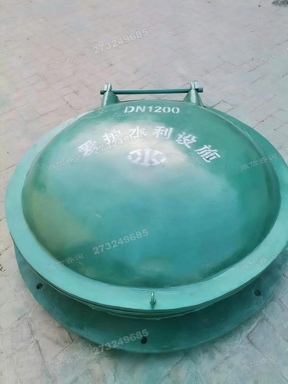 铁岭DN1200铸铁拍门