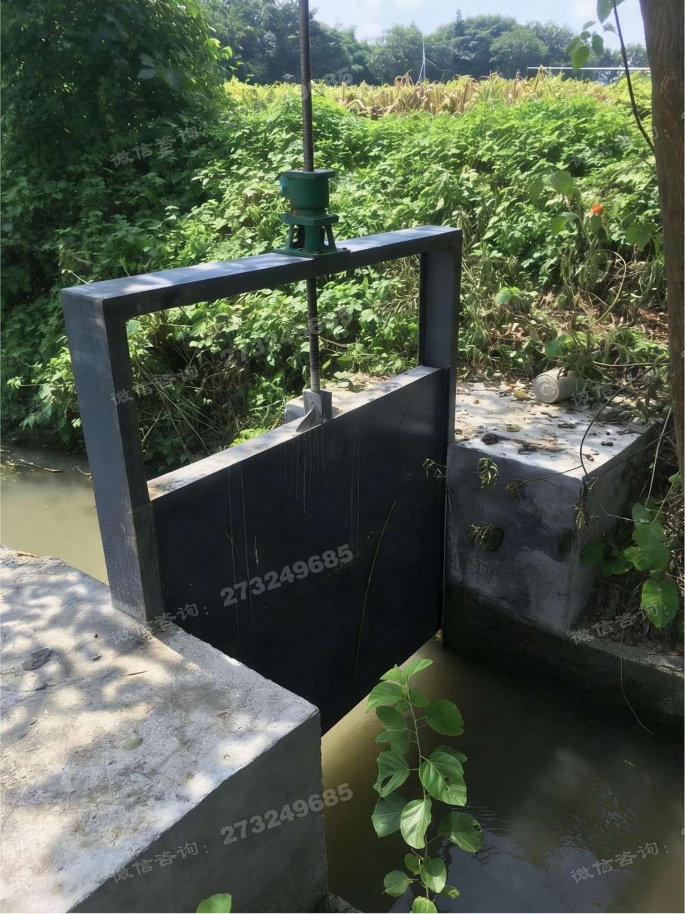 保定菜园灌溉钢制闸门