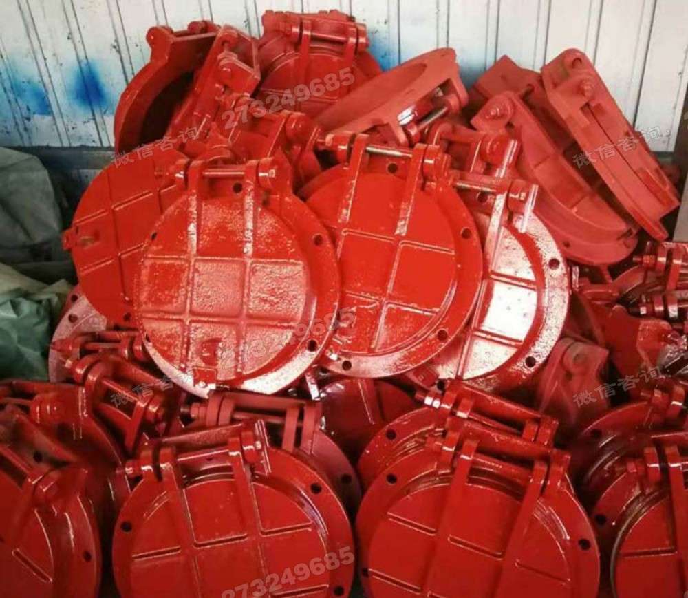 杨浦多型号铸铁拍门