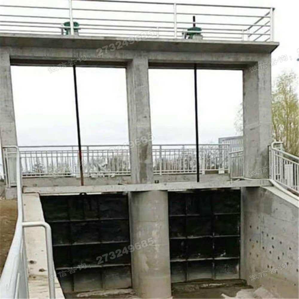 鄂州泵站双孔铸铁闸门
